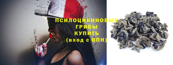 a pvp Аркадак