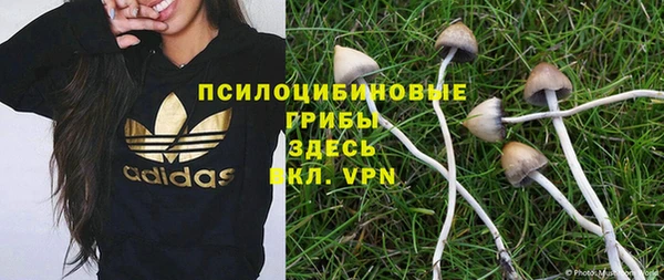 винт Арсеньев