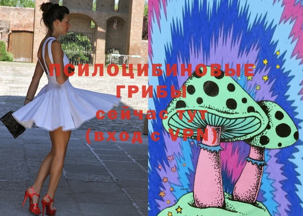винт Арсеньев