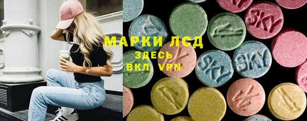 индика Армянск