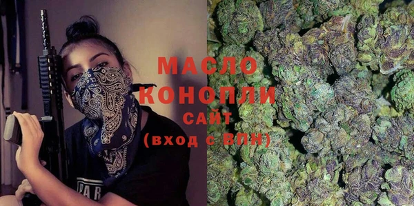 индика Армянск